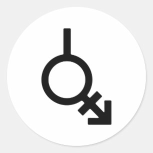 Bigender Androgyne and Neutrois Gender Symbol Classic Round Sticker