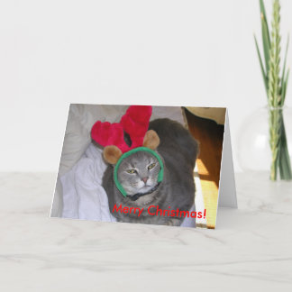 bigfatcat, Merry Christmas! Holiday Card