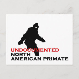 BIGFOOT: UNDOCUMENTED NORTH AMERICAN PRIMATE POSTCARD