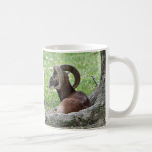 Bighorn Mug