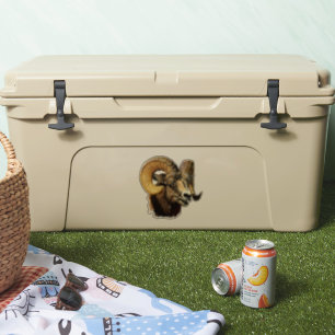 Bighorn Ram Mountain Sheep Wildlife Nature