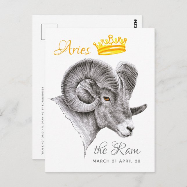 Bighorn Ram with Crown Aries Zodiac Animal art Postcard (Front/Back)