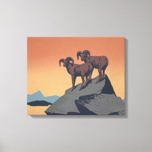Bighorn Sheep American West Wildlife Canvas Print