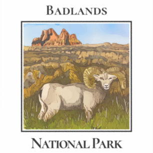 Bighorn Sheep, Badlands National Park,