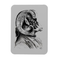 Bighorn Sheep In Suit