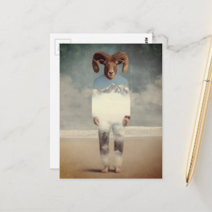 Bighorn Sheep Person on the Beach Postcard