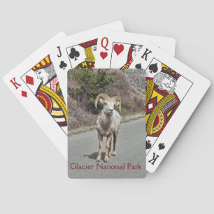 Bighorn Sheep Photo Playing Cards