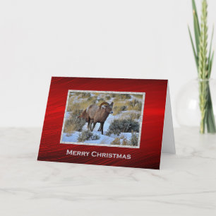 Bighorn Sheep Snow Photo Christmas Holiday Card