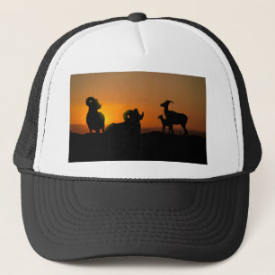 Bighorn Sheep Trucker Hat