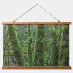 Bigleaf Maple Trees & Ferns   Washington State Hanging Tapestry