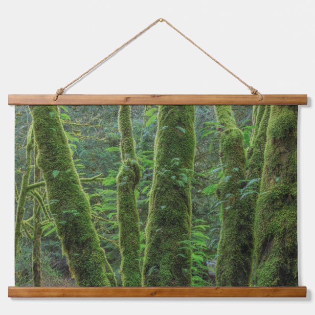 Bigleaf Maple Trees & Ferns | Washington State Hanging Tapestry (Front)