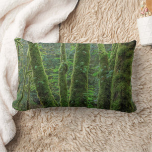 Bigleaf Maple Trees & Ferns Washington State Lumbar Cushion