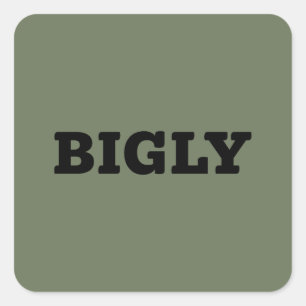 BIGLY SQUARE STICKER