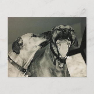 bigmouth postcard