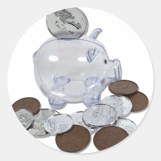 BigSavings101610 Classic Round Sticker (Front)