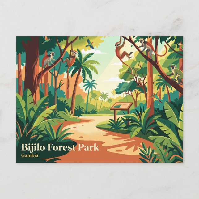 Bijilo Forest Park (Monkey Park) Gambia Postcard (Front)