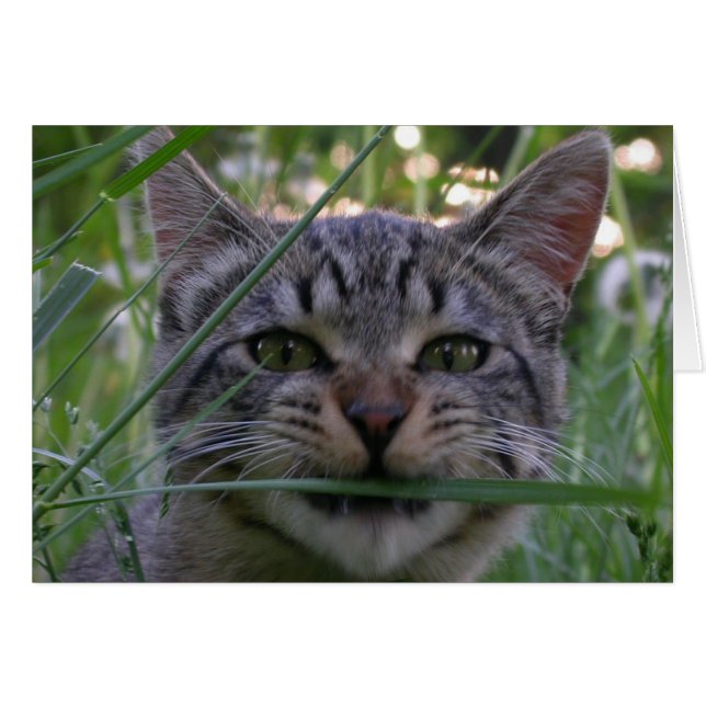 Bijou Grass (Front Horizontal)