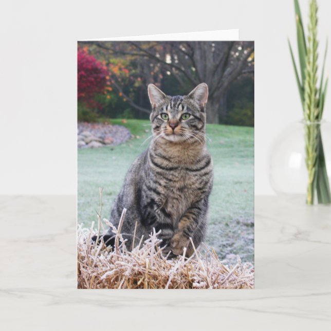 Bijou on straw card (Front)