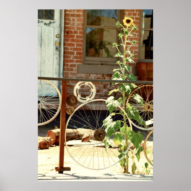 Bike Fence Poster (Front)