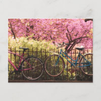 Bike Love Postcard
