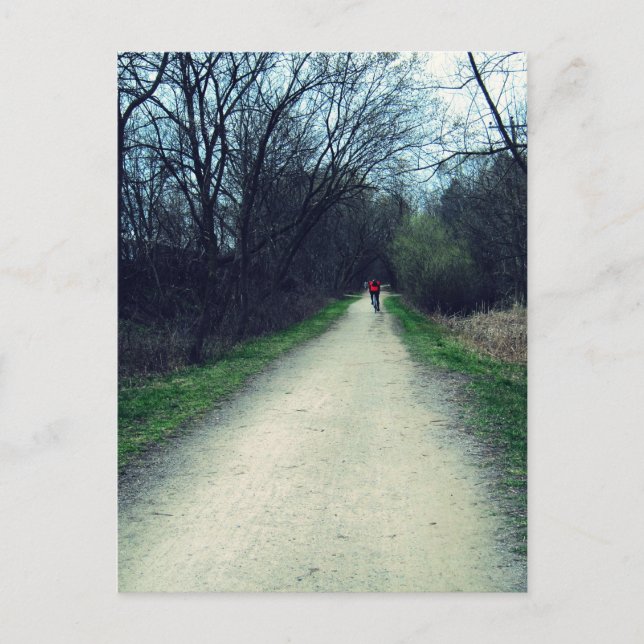 Bike Path in a Park Postcard (Front)