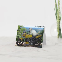 Biker Cat Notecard