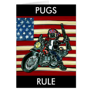 Biker Pug