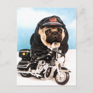 Biker Pug Dog Postcard