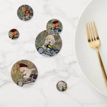 Biker Teddy Bear and Dog  -