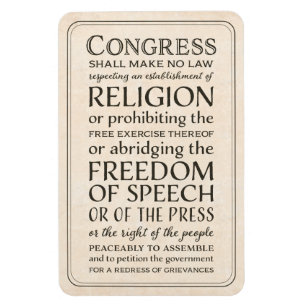 Bill of Rights Freedom of Speech and Religion Magnet