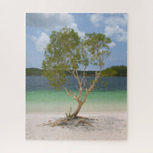 BILLABONG TREE 16x20 INCH Jigsaw Puzzle