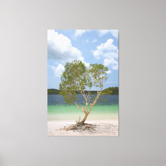 BILLABONG TREE 40x60 Canvas Print (Front)