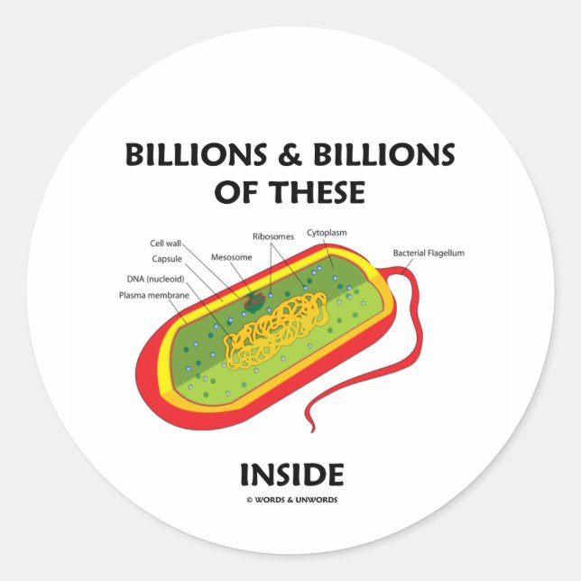 Billions & Billions Of These (Prokaryote) Inside Classic Round Sticker (Front)