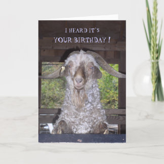 BILLY GOAT BIRTHDAY CARD