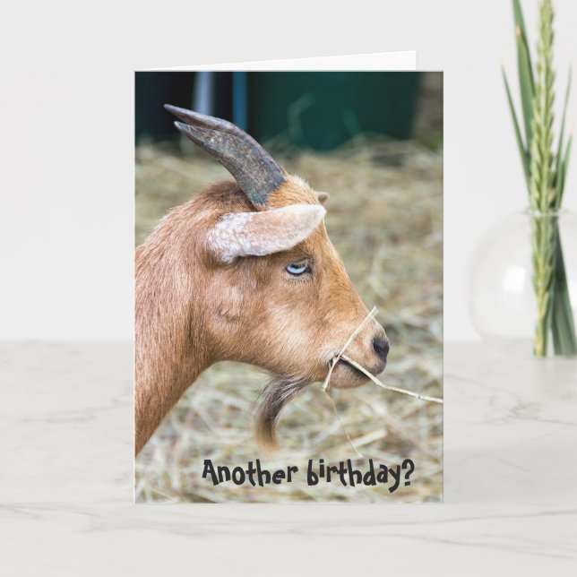 billy goat birthday card (Front)