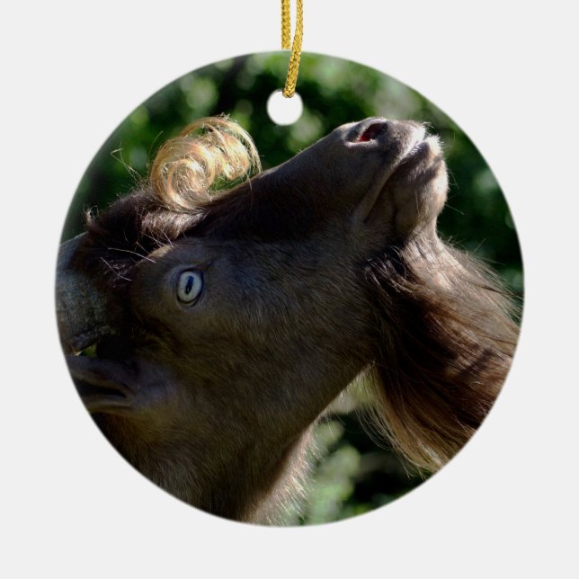 Billy Goat Ceramic Tree Decoration (Front)