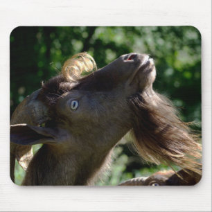 Billy Goat Mouse Pad