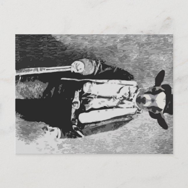 Billy the Kid - Postcard (Front)