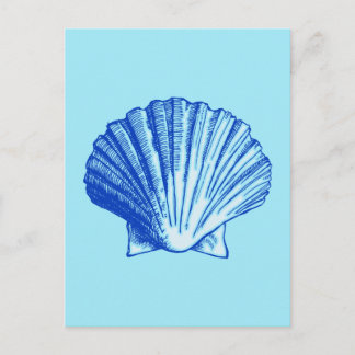 Bimini Blue Sea Shell Postcard
