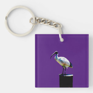 Bin Chicken, (ibis), Oil Paint, Keyring