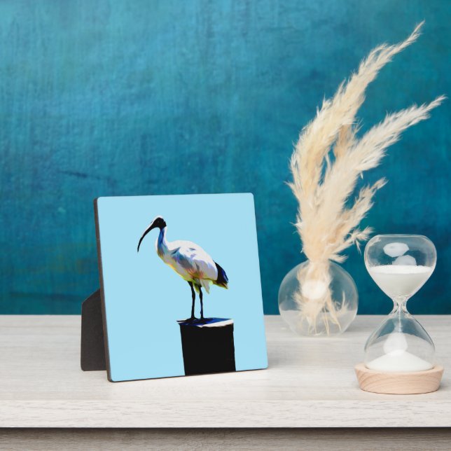 Bin Chicken, (Ibis) Oil Paint, Plaque (Insitu)