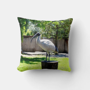 Bin Chicken (ibis) On A Tree Stump,   Cushion