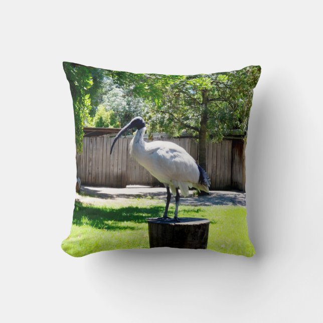 Bin Chicken (ibis) On A Tree Stump,   Cushion (Front)