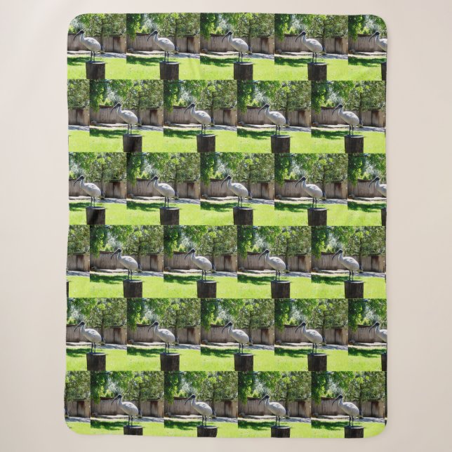 Bin Chicken (ibis) On A Tree Stump,  Sherpa Blanket (Front)