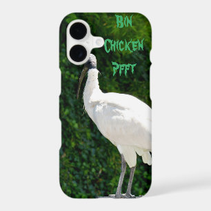 Bin Chicken Known As The Ibis,