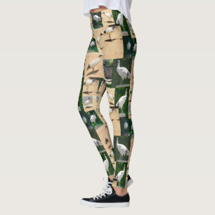 Bin Chicken Photo Collage, Leggings