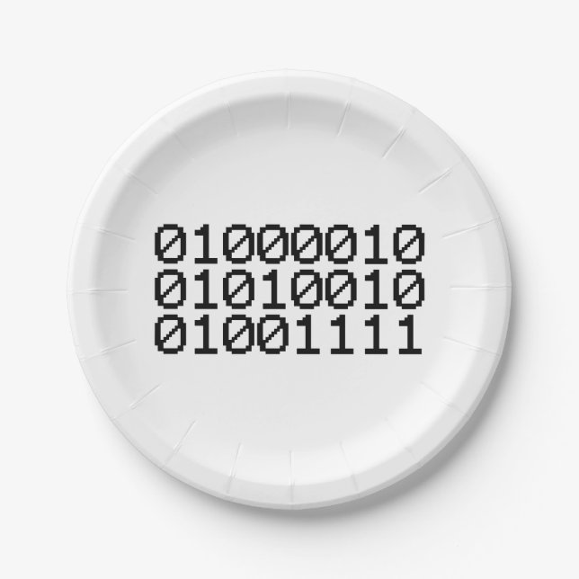 BINARY BRO PAPER PLATE (Front)
