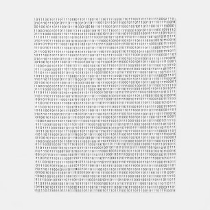 Binary Code Black White Stripes Fleece Blanket