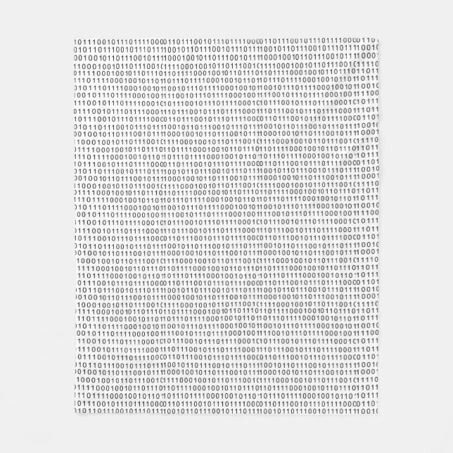 Binary Code Black White Stripes Fleece Blanket (Front)