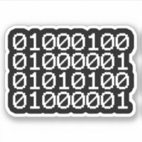 BINARY DATA